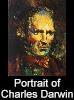 Portrait of Charles Darwin